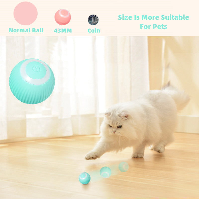 Smart Cat Ball Toys - paradrie