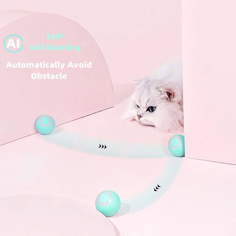 Smart Cat Ball Toys - paradrie