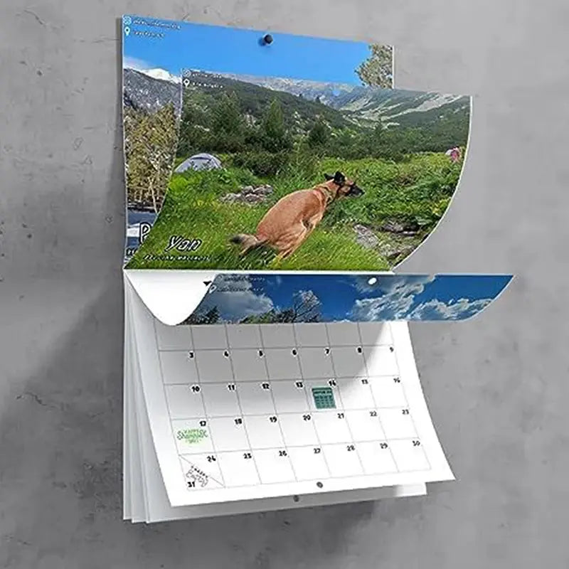 2024 Wall Calendar-Dog Pooping Calendar