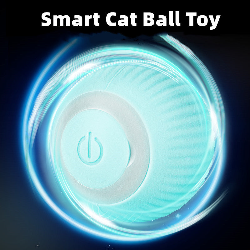 Smart Cat Ball Toys - paradrie